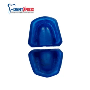 Molde Para Modelos de Yeso Dentado Adulto
