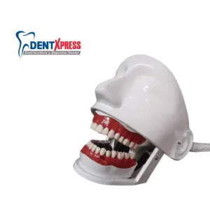 simulador dental simulador carodonto tripie