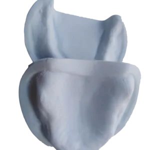 Alternative view of Tipodonto Desdentado Yeso