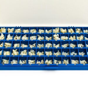 Alternative view of Coronas De Policarbonato