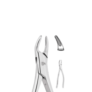 Forceps Adulto #150S P/Superior, Incisivos, Caninos y Premolares