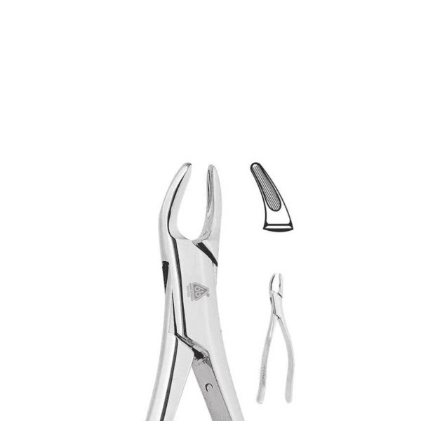 Forceps Adulto #150S P/Superior, Incisivos, Caninos y Premolares