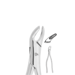 Forceps Adulto #151 P/Baja Incisivos, Caninos y Premolares