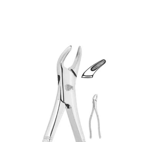 Forceps Adulto #151S P/Inferiores Incisivos, Caninos y Premolares