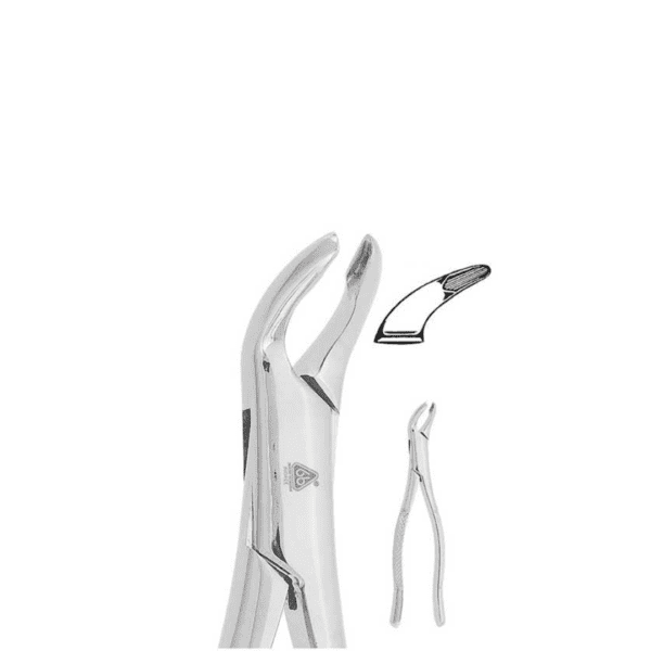 Forceps Adulto #203 Para Superiores Terceros Molares