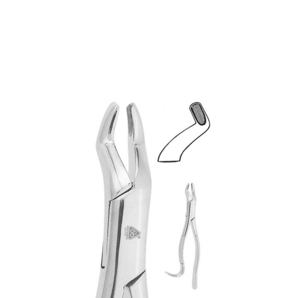 Forceps Adulto #210H P/Superiores Terceros Molares