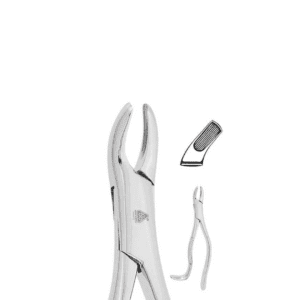 Forceps Adulto #24 P/Molares Superior
