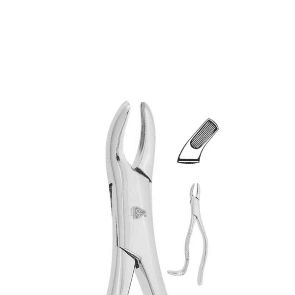 Forceps Adulto #24 P/Molares Superior