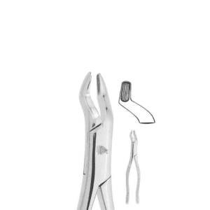 Forceps Adulto #53 P/Molares Superior Derecho