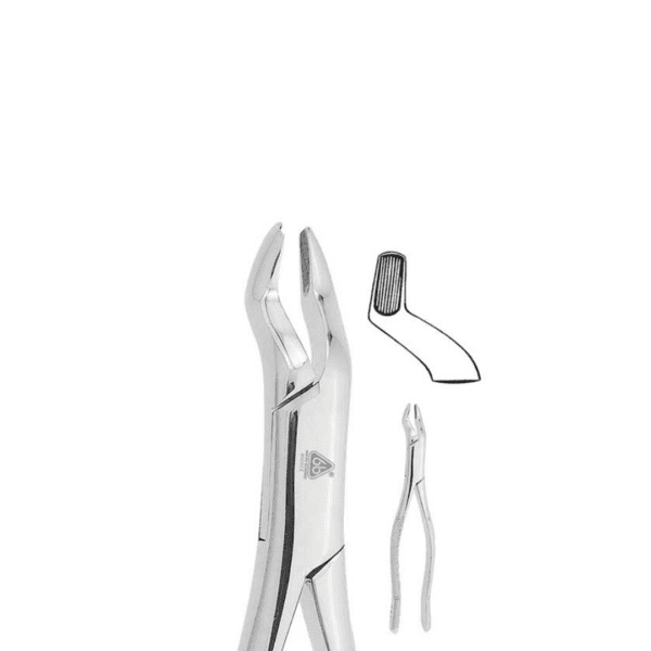 Forceps Adulto #53 P/Molares Superior Derecho