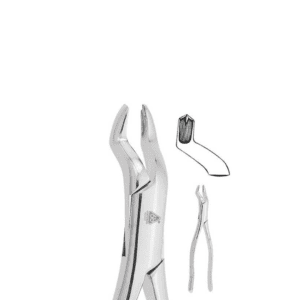 Forceps Adulto #53 P/Molares Superior Izquierdo