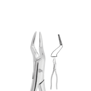 Forceps Adulto #65 Para Incisivos y Raices Superiores