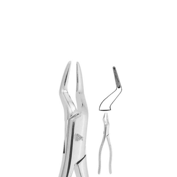 Forceps Adulto #65 Para Incisivos y Raices Superiores