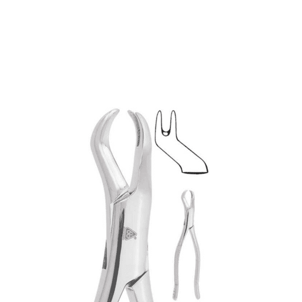Forceps Adulto #88R P/Molar Superior Derecho