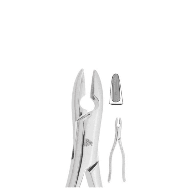 Forceps Adulto #99C P/Superior Incisivos Caninos y Molares