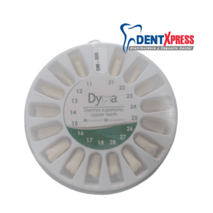 Alternative view of Dientes para Tipodonto Nissin Adulto con 32 Repuestos