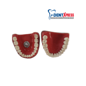 Alternative view of Repuesto Caradonto Dentado | Caradonto Dentado