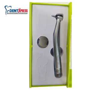 Pieza de Alta Con Luz LED Discover