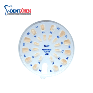 Repuesto de Dientes para Tipodonto Tipo Columbia Infantil Con 24