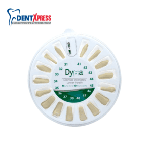 Dientes para Tipodonto Tipo Columbia Con 32 860