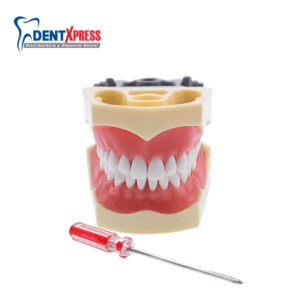 Tipodonto Dyma Tipo Columbia Platina Metálica Adulto