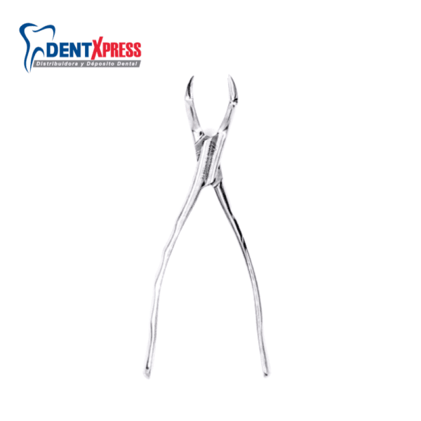 Forceps Adulto #88R Arain