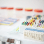 Endodoncia