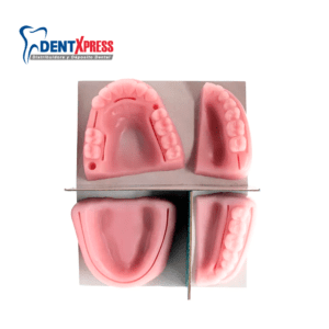 Encías para Práctica de Sutura | Pad de Encía para Sutura