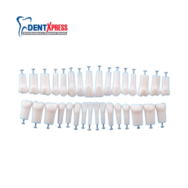 Repuesto de Dientes Nissin Originales 28 Pzas