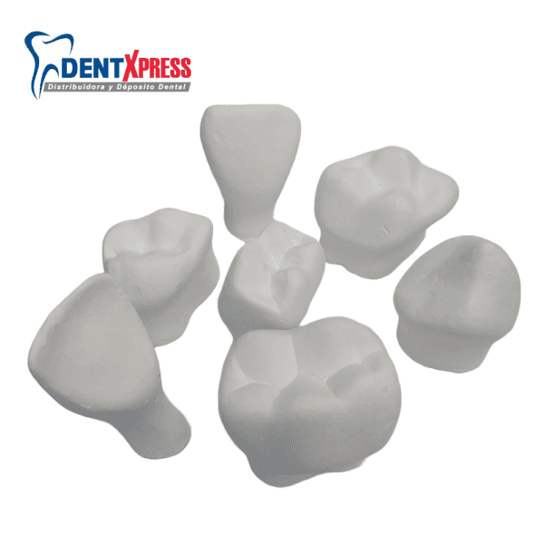 Macromodelos De Yeso Infantiles