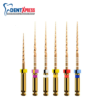 Limas Protaper Gold Dentsply