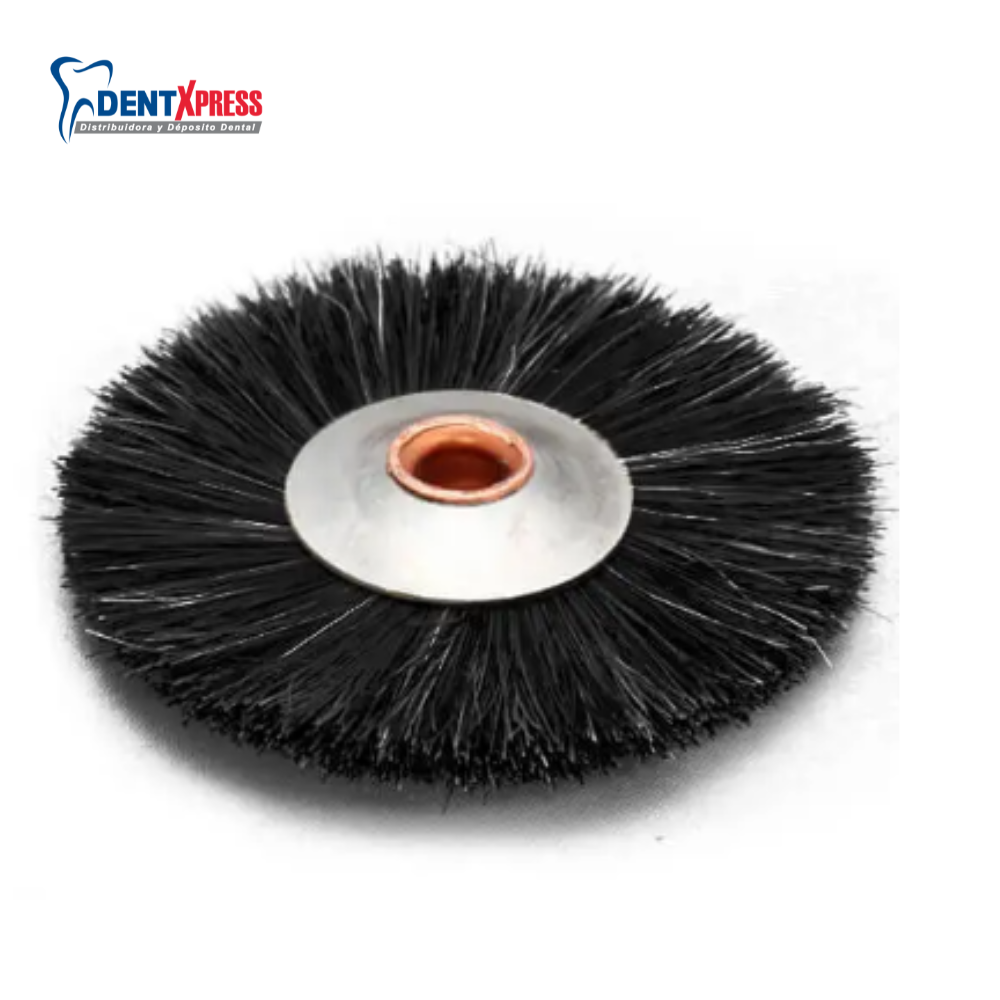 Cepillo de Cerdas Mediano