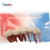 dientes para endodoncia