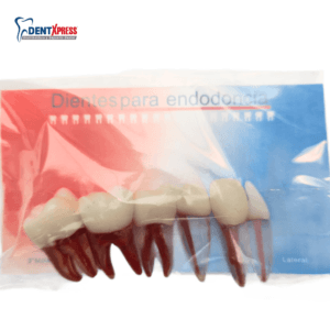 dientes para endodoncia