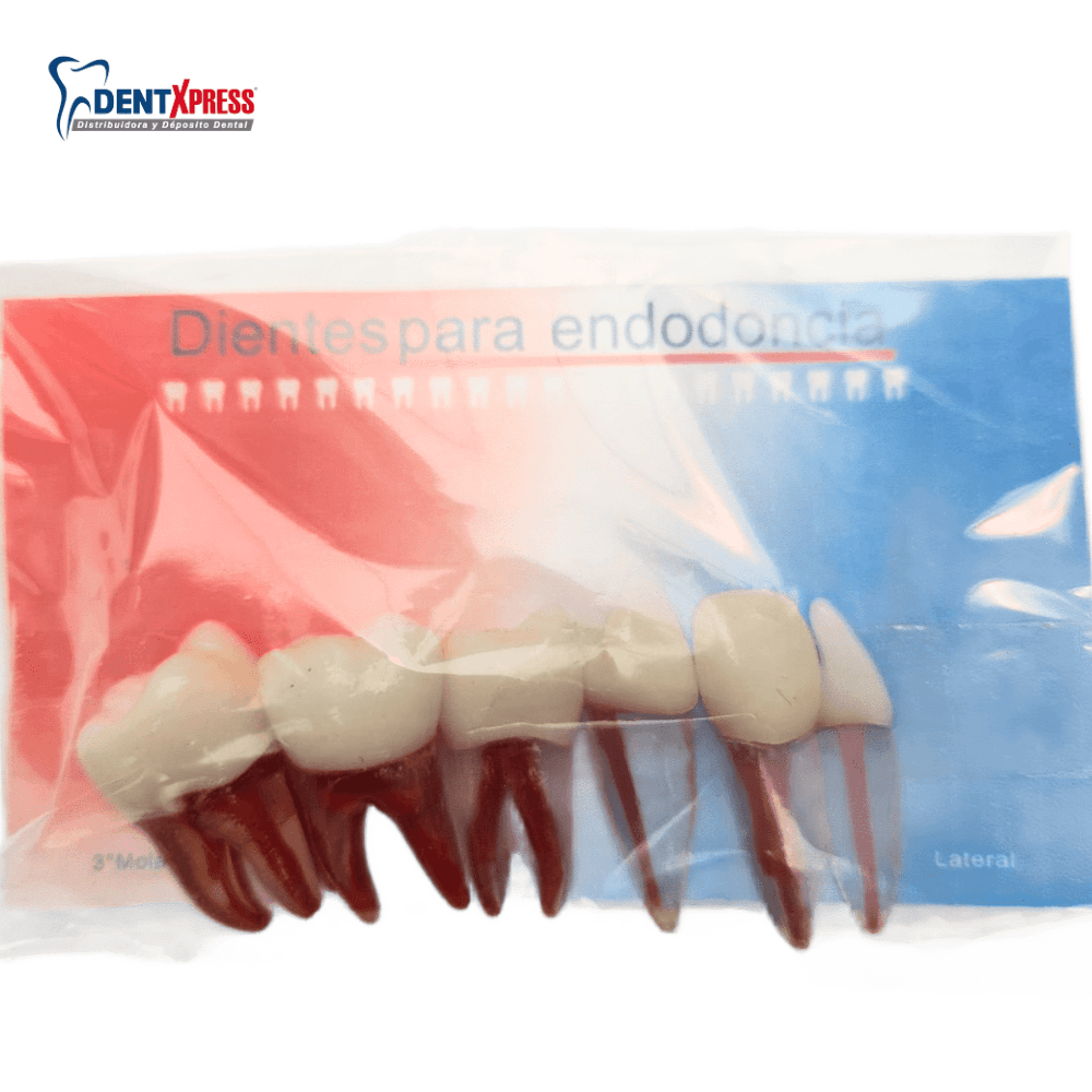 Dientes Para Endodoncia con 5